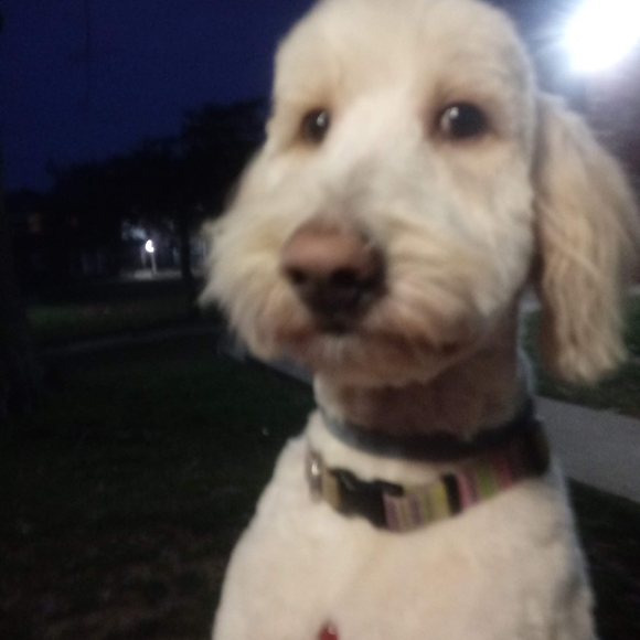 Meet your Posher, Laura - Picture 2 of 2